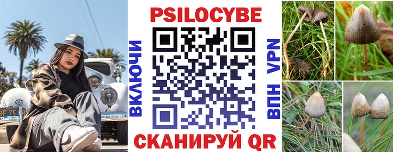Галлюциногенные грибы MAGIC MUSHROOMS  как найти   Комсомольск-на-Амуре 