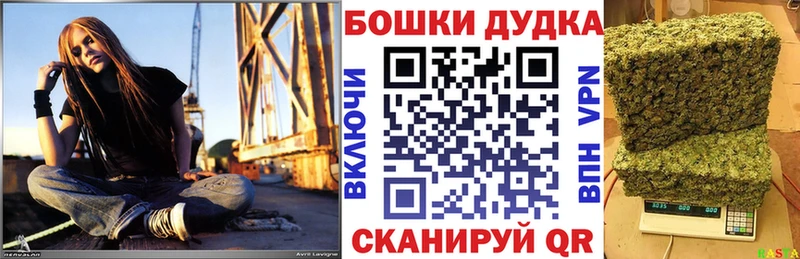 даркнет телеграм  Комсомольск-на-Амуре  Каннабис индика  даркнет сайт  OMG  